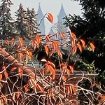 Haus Schmeile