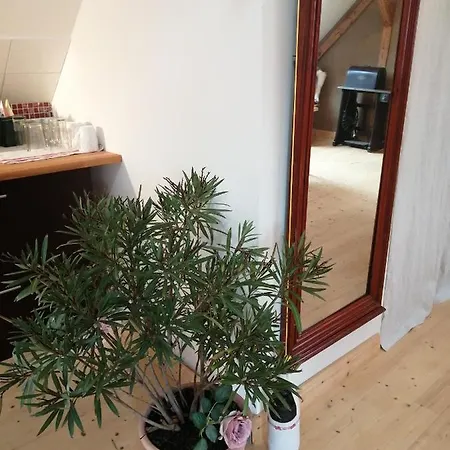 Haus Schmeile Apartment