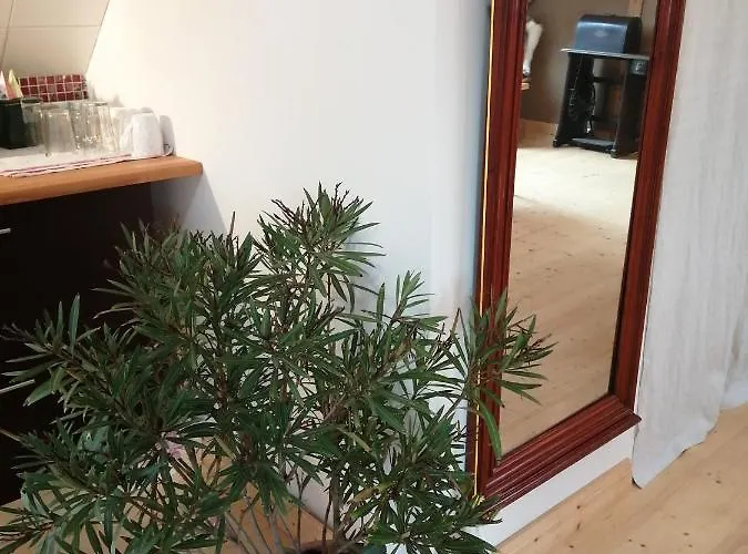 Haus Schmeile 公寓